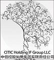 CITIC Holding IF Group LLC